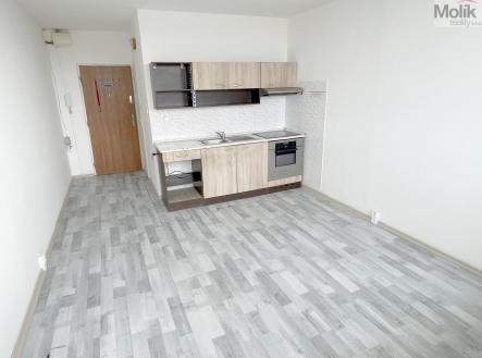 IMG_6511.jpeg | Prodej bytu, 1+kk, 22 m²