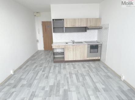 IMG_6513.jpeg | Prodej bytu, 1+kk, 22 m²