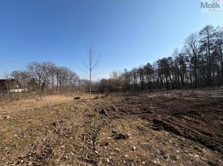 WhatsApp Image 2026-03-05 at 14.13.22.jpeg | Prodej - pozemek pro bydlení, 2 003 m²