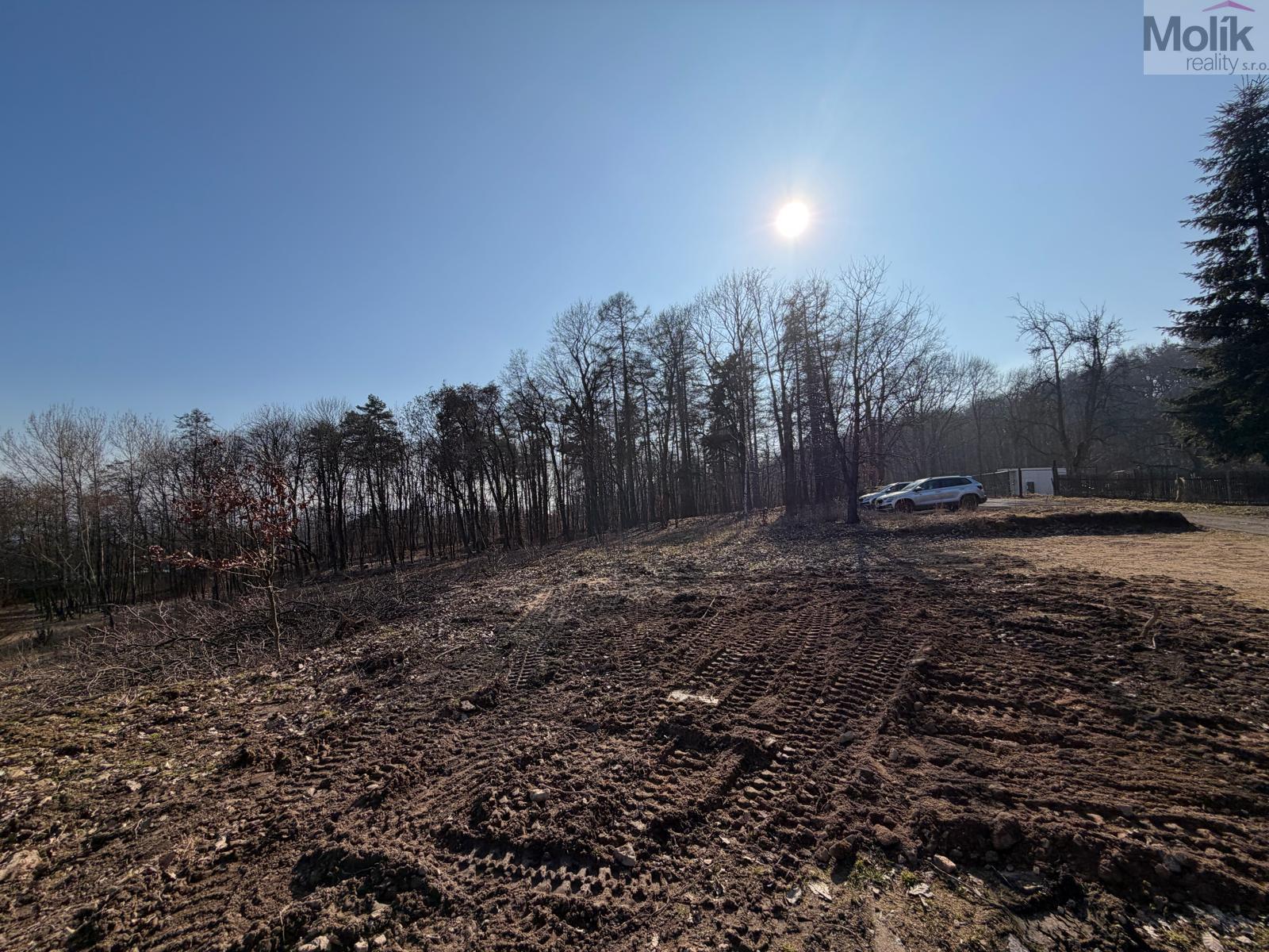 WhatsApp Image 2026-03-05 at 14.13.21.jpeg