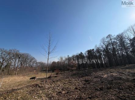 WhatsApp Image 2026-03-05 at 14.13.21 (1).jpeg | Prodej - pozemek pro bydlení, 2 003 m²