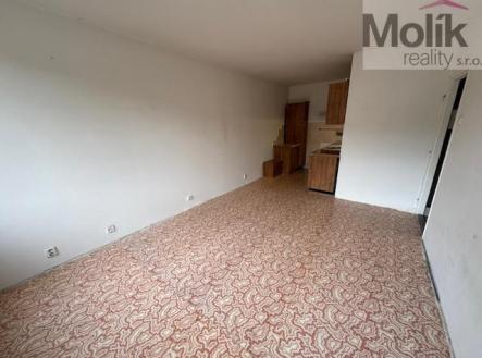 IMG_0982.jpeg | Pronájem bytu, 2+kk, 40 m²