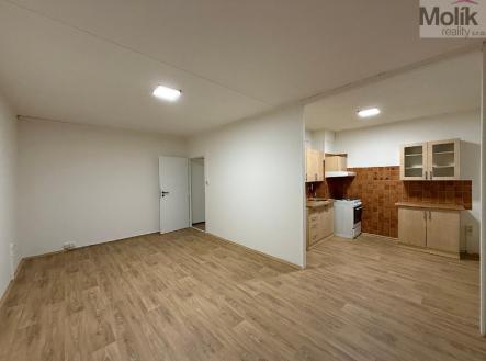 stažený soubor (1).jpg | Pronájem bytu, 2+1, 53 m²