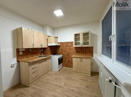 stažený soubor.jpg | Pronájem bytu, 2+1, 53 m²