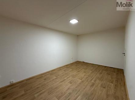stažený soubor (4).jpg | Pronájem bytu, 2+1, 53 m²