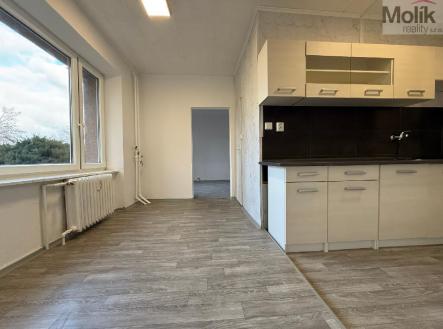 stažený soubor.jpg | Pronájem bytu, 3+1, 71 m²