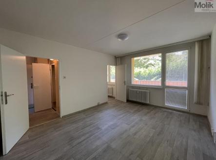 IMG_5537.jpg | Pronájem bytu, 1+kk, 27 m²
