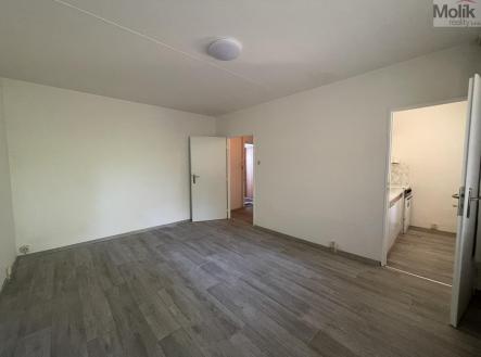 IMG_5538.jpg | Pronájem bytu, 1+kk, 27 m²