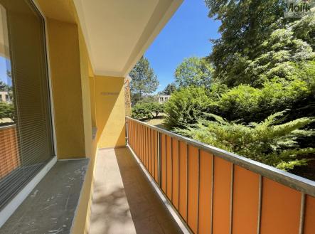 IMG_5539.jpg | Pronájem bytu, 1+kk, 27 m²