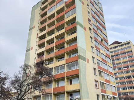 IMG_4230.jpg | Pronájem bytu, 1+kk, 22 m²