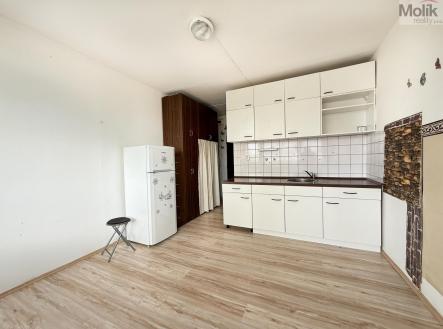IMG_4207.jpg | Pronájem bytu, 1+kk, 22 m²