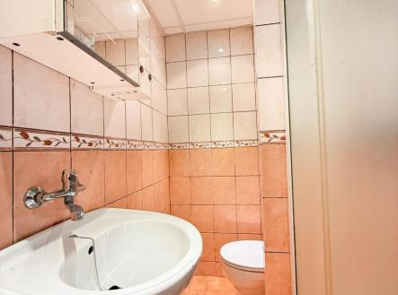 IMG_4213.jpg | Pronájem bytu, 1+kk, 22 m²