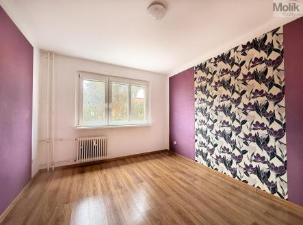 IMG_4201.jpg | Pronájem bytu, 2+1, 53 m²