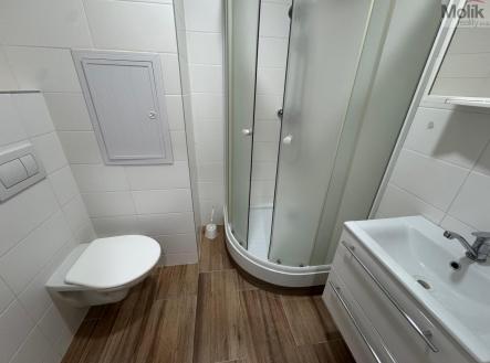 IMG_1709.jpeg | Pronájem bytu, 1+1, 26 m²