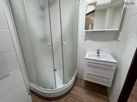 IMG_1710.jpeg | Pronájem bytu, 1+1, 26 m²