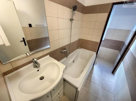 IMG_3945.jpg | Pronájem bytu, 1+1, 33 m²