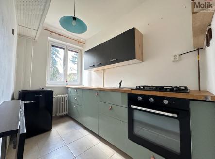 IMG_3943.jpg | Pronájem bytu, 1+1, 33 m²