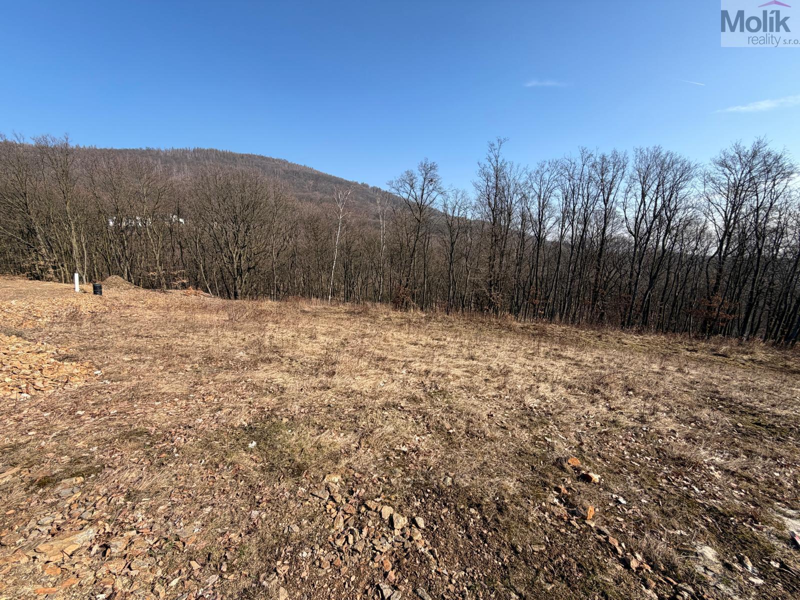 WhatsApp Image 2026-03-04 at 11.17.18 (4).jpeg