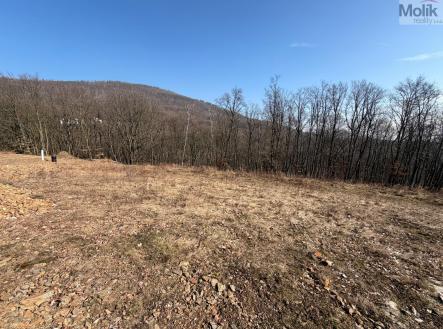 WhatsApp Image 2026-03-04 at 11.17.18 (4).jpeg | Prodej - pozemek pro bydlení, 2 648 m²