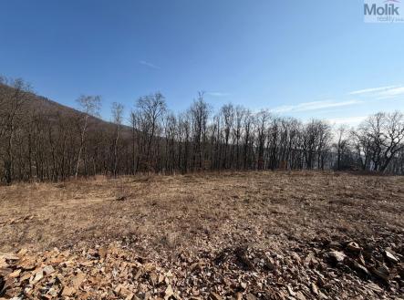 WhatsApp Image 2026-03-04 at 11.17.18 (1).jpeg | Prodej - pozemek pro bydlení, 2 648 m²