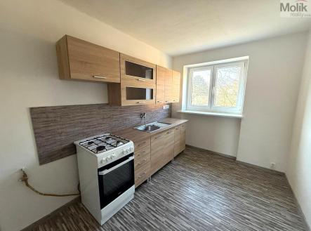 WhatsApp Image 2026-03-05 at 07.46.43 (4).jpeg | Pronájem bytu, 2+1, 59 m²