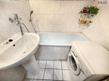 IMG_0444.jpg | Pronájem bytu, 2+1, 54 m²