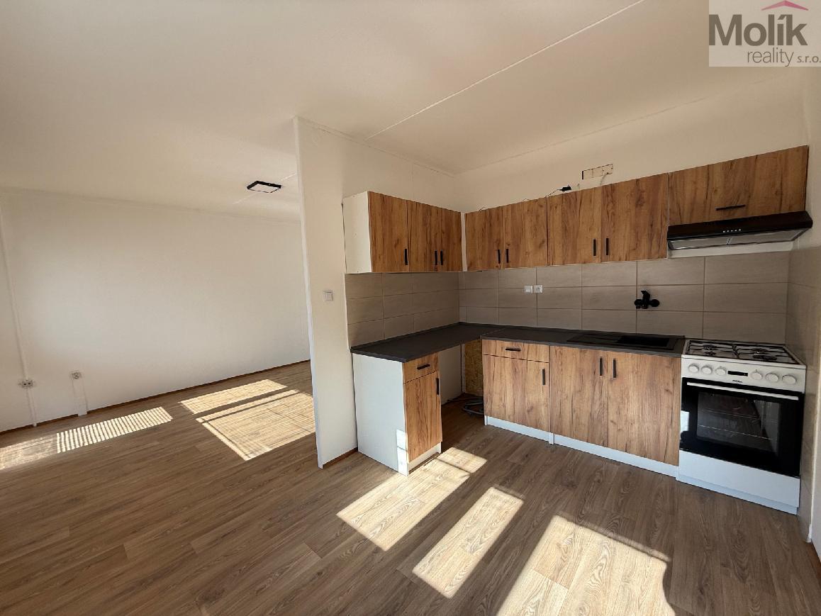 stažený soubor.jpg