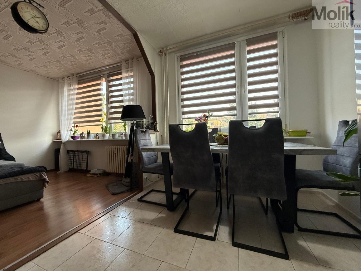 stažený soubor (2).jpg