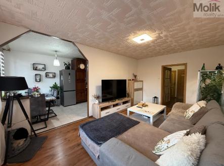 stažený soubor (5).jpg | Pronájem bytu, 3+1, 70 m²