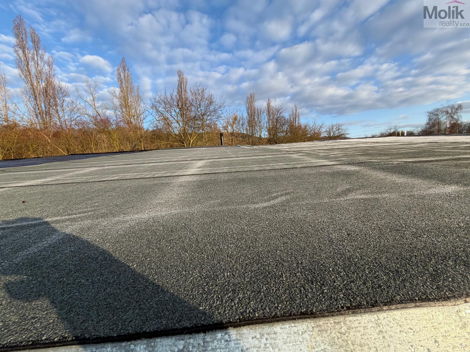 WhatsApp Image 2026-03-17 at 07.20.21.jpeg