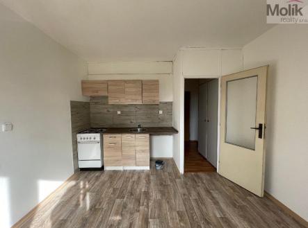 stažený soubor (1).jpg | Pronájem bytu, 1+1, 35 m²