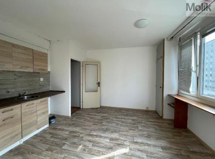 stažený soubor (3).jpg | Pronájem bytu, 1+1, 35 m²