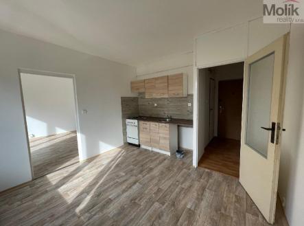 stažený soubor.jpg | Pronájem bytu, 1+1, 35 m²