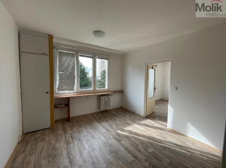 stažený soubor (2).jpg | Pronájem bytu, 1+1, 35 m²