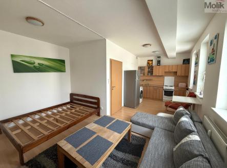 WhatsApp Image 2026-03-19 at 13.40.42 (7).jpeg | Pronájem bytu, 1+kk, 32 m²