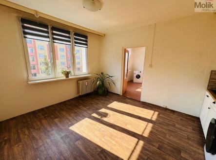 IMG_1843.jpeg | Prodej bytu, 2+kk, 34 m²