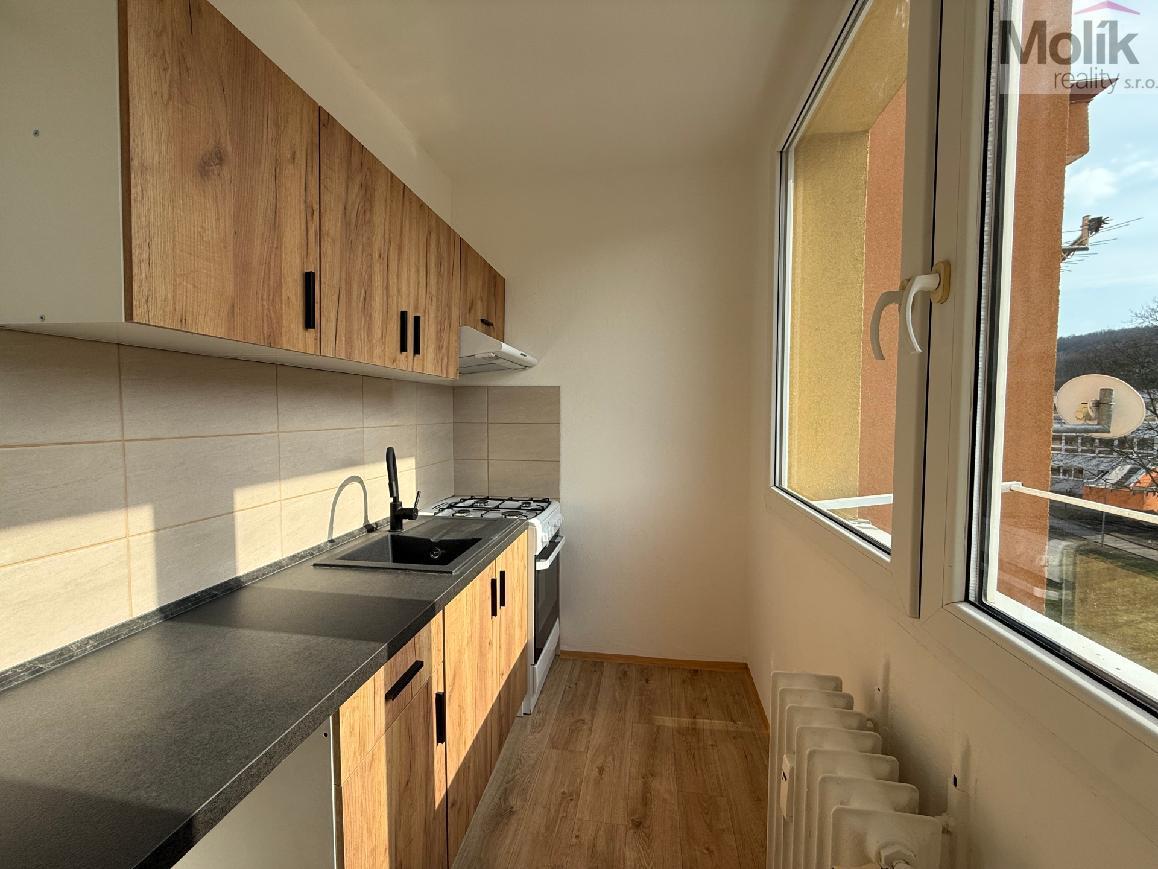 stažený soubor (1).jpg