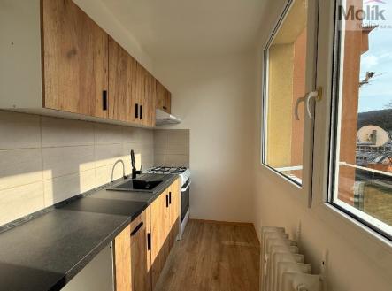 stažený soubor (1).jpg | Pronájem bytu, 1+1, 27 m²