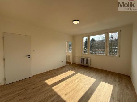 stažený soubor (2).jpg | Pronájem bytu, 1+1, 27 m²