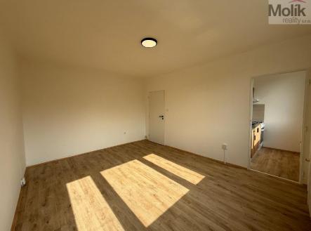 stažený soubor (3).jpg | Pronájem bytu, 1+1, 27 m²