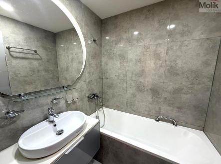 WhatsApp Image 2026-03-24 at 13.54.51 (3).jpeg | Pronájem bytu, 3+1, 64 m²