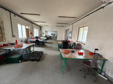 WhatsApp Image 2026-03-20 at 10.43.03 (8).jpeg | Pronájem - obchodní prostor, 1 532 m²