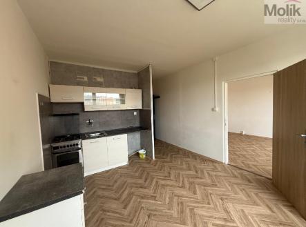 stažený soubor.jpg | Pronájem bytu, 1+1, 35 m²