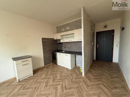 stažený soubor (1).jpg | Pronájem bytu, 1+1, 35 m²