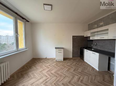 stažený soubor (2).jpg | Pronájem bytu, 1+1, 35 m²