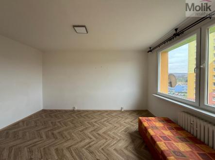 stažený soubor (3).jpg | Pronájem bytu, 1+1, 35 m²