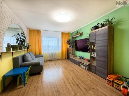 IMG_4682.jpg | Prodej bytu, 3+1, 68 m²