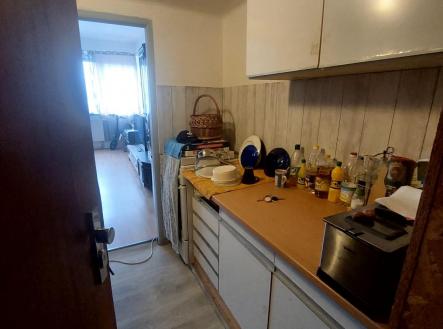 WhatsApp Image 2026-03-27 at 16.44.54 (3).jpeg | Prodej bytu, 1+1, 27 m²