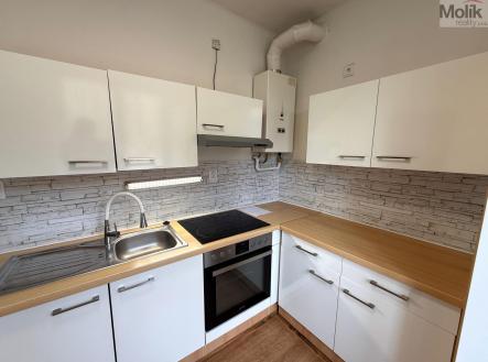 WhatsApp Image 2026-04-01 at 13.30.18 (2).jpeg | Pronájem bytu, 2+1, 55 m²