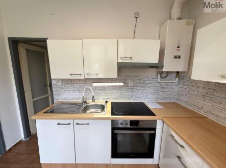 WhatsApp Image 2026-04-01 at 13.30.01.jpeg | Pronájem bytu, 2+1, 55 m²